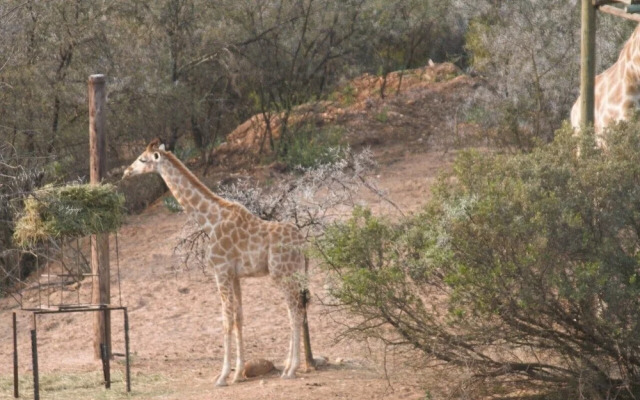 Zwartberg View Mountain Lodge