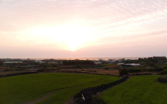 Jeju Track & Unshared House Pension