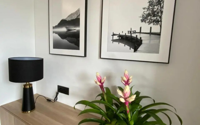 Alėjos Apartmentai Comfort