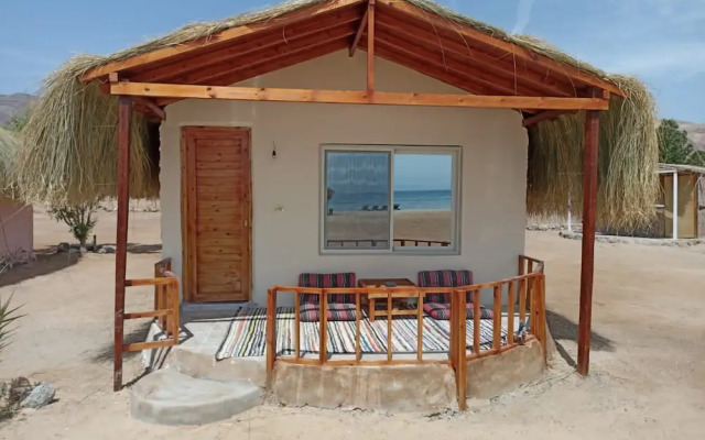 Shanty camp