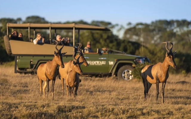 Shamwari Bayethe