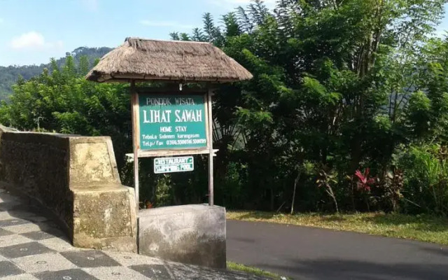 Lihat Sawah 1