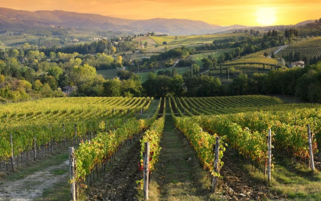 Vigna Home Amazing Site Chianti Classico