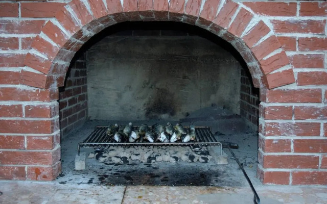 Lovely 2-bedroom Apartment in Poljica