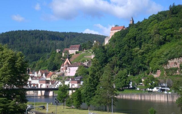 Romantisches Hirschhorn am Neckar