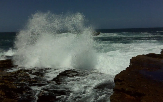 Milkwood Lodge - Hermanus