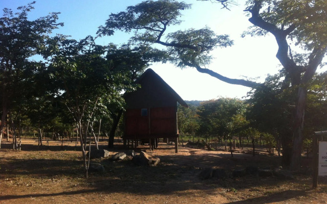 Lion Roars Lodge