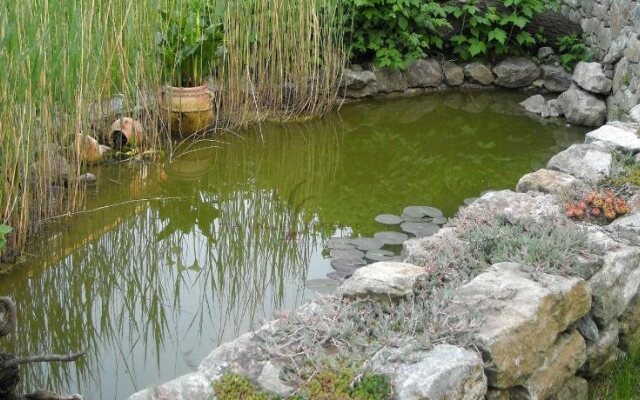 B&B Tre Foglie di Pesco