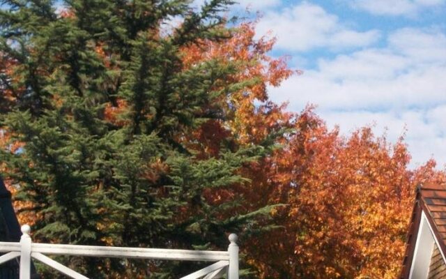 Los Alamos Bed And Breakfast