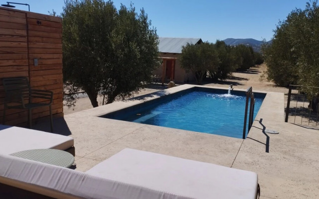 Alma Liebre Viñedos del Valle