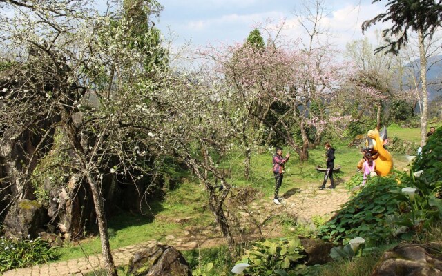 Sapa Sunflower Hotel