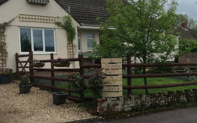 Devon's Duck n Dane B&B