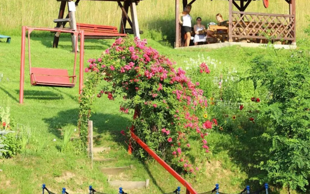 Pensiunea Dealul Frumos