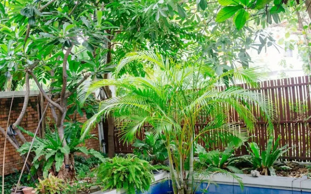 Laidback Place Apartment