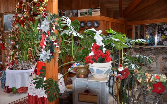 Where Eagles Fly Bed & Breakfast