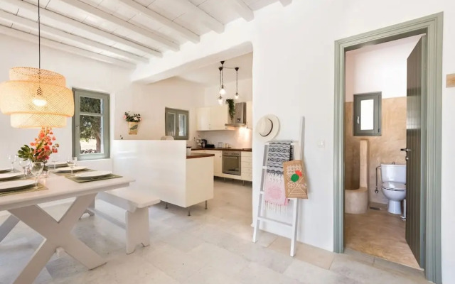 Sun Drop I With Private Pool Drios Beach Paros