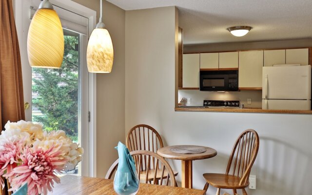 Fall Line Condo D1 1 Bedroom Condo