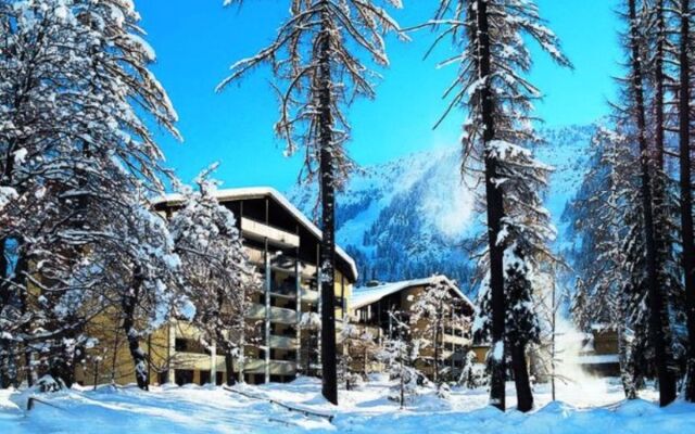 Disentiserhof C505 Kuhn