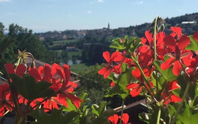 Ferienwohnung Hauzenberg Blick