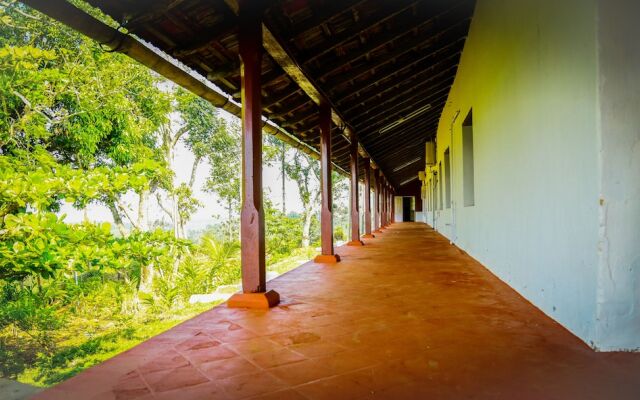 Standard Double Room-wayanad