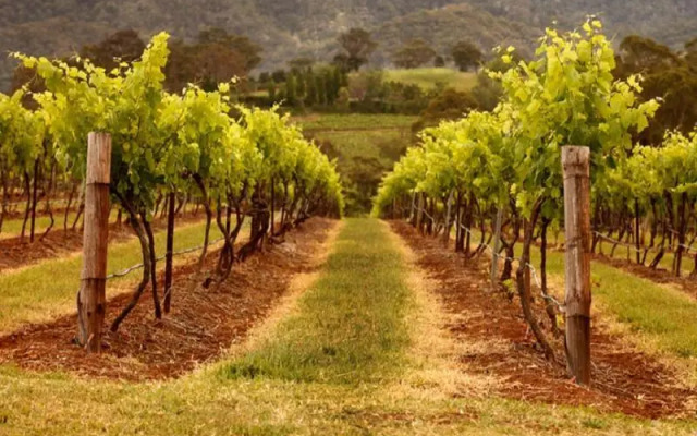 Hunter Habit Cottages