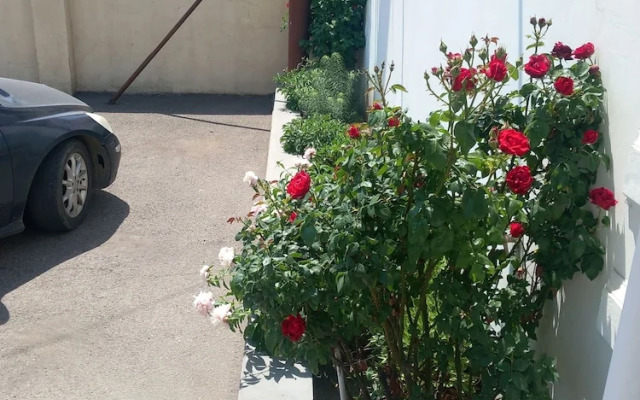 Star Zvartnots Yerevan Airport