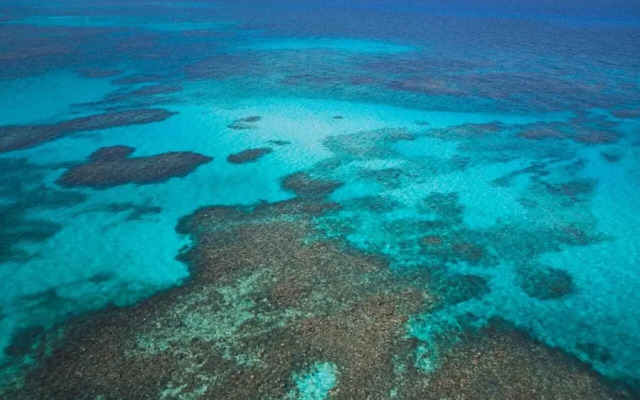 Casa Airam Beachfront Villa in Sian Kaan