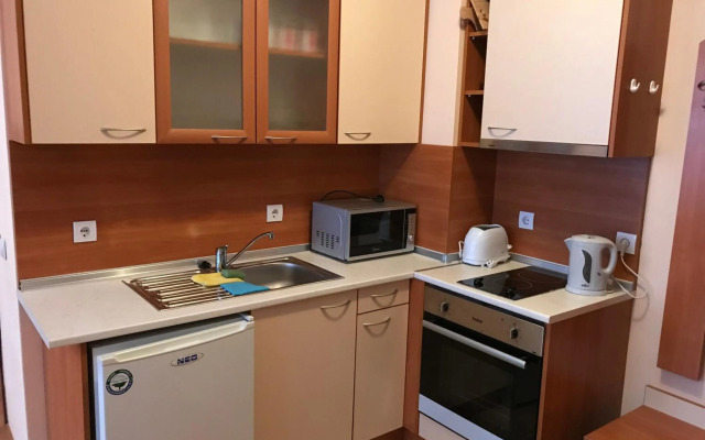 Flora Ski-slope Studio Apartment