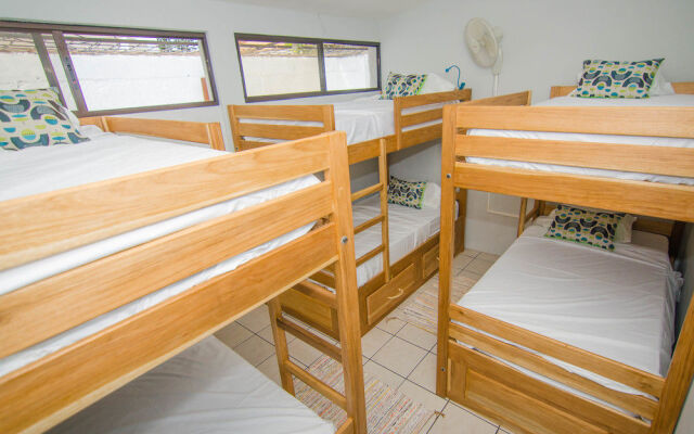 La Bicicleta Hostal - Hostel