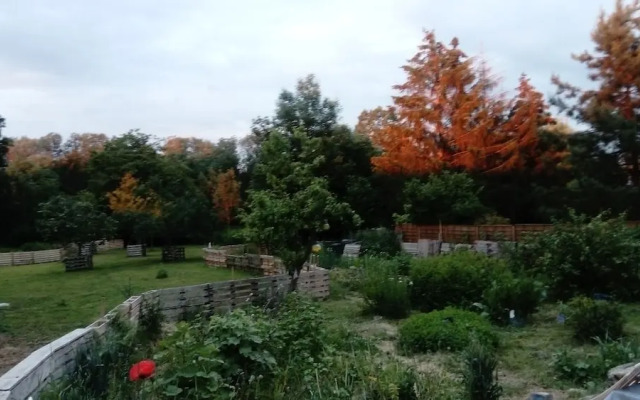 Au bois de mon coeur