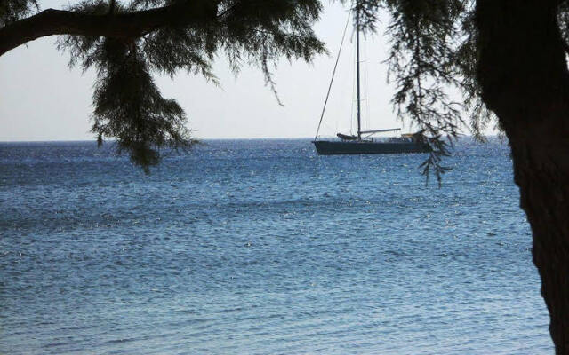 Olive Coast Suites