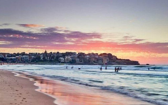 Bondi Beach Gorgeous Apartment H323