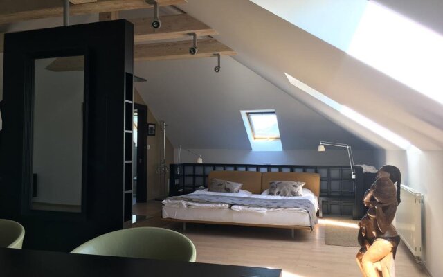 Hotel Villa Necas