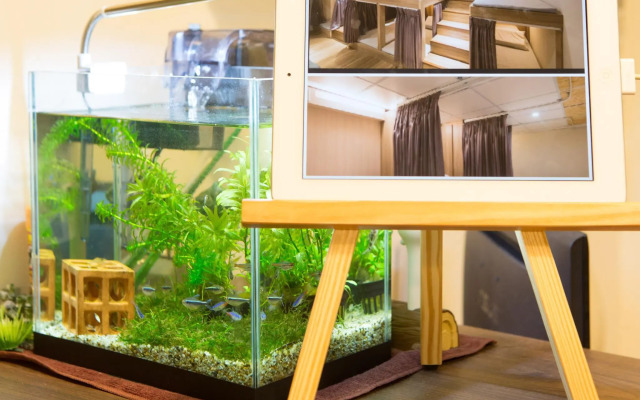 Hostel Jiizu
