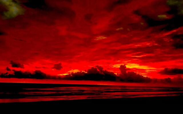 Beachfront Meditation