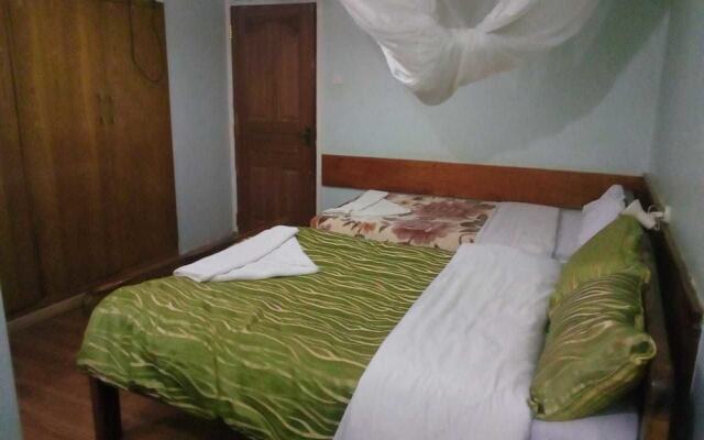 Hotel Eel