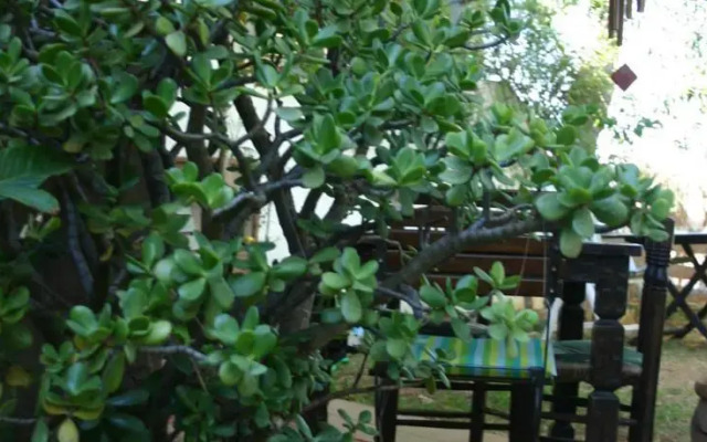 B&B Almenar Golf