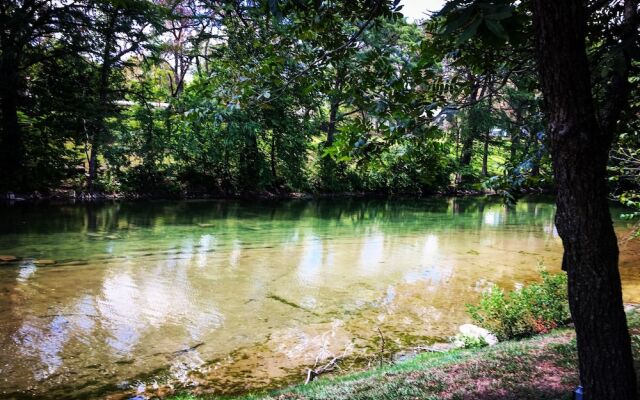 River Rd. Treehouses-Mourning Dove Haus