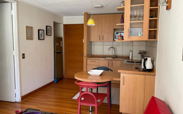 Santiago Lastarria Apartment