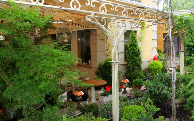 Meg Lozenetz Hotel