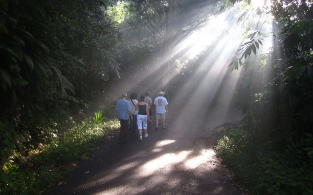 Arma Museum & Resort