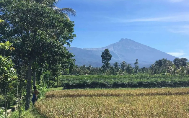 Cahaya Tetebatu Inn