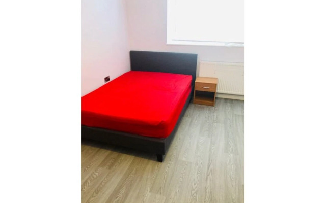 Oyo Lbh 22