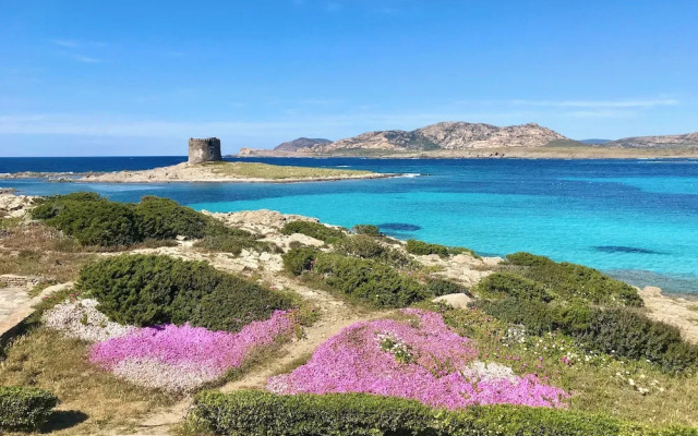 Residence in Stintino 50 mt from the sea
