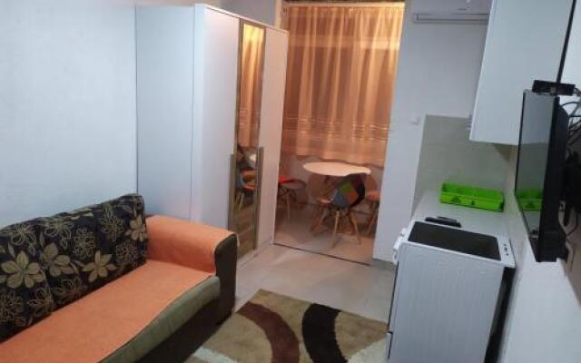 Apartment Igor