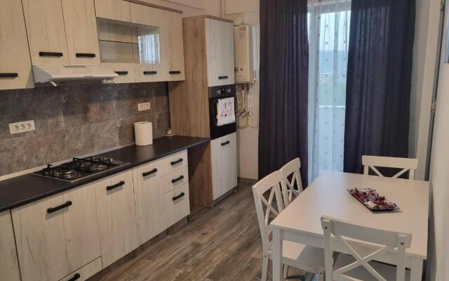 Apartament Dem Radulescu