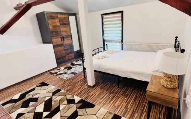 Apartament in regim hotelier King Medias