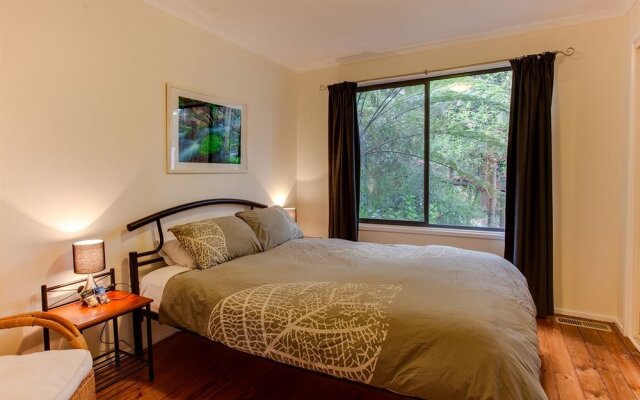 Wild Patch Retreat