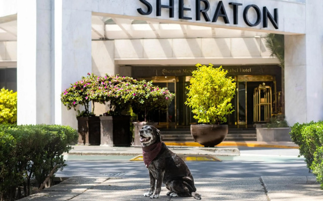 Sheraton Mexico City Maria Isabel Hotel