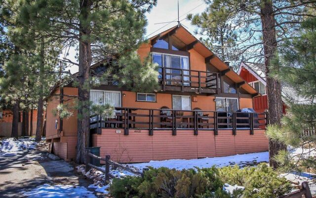 RedAwning Papa Bear #1493